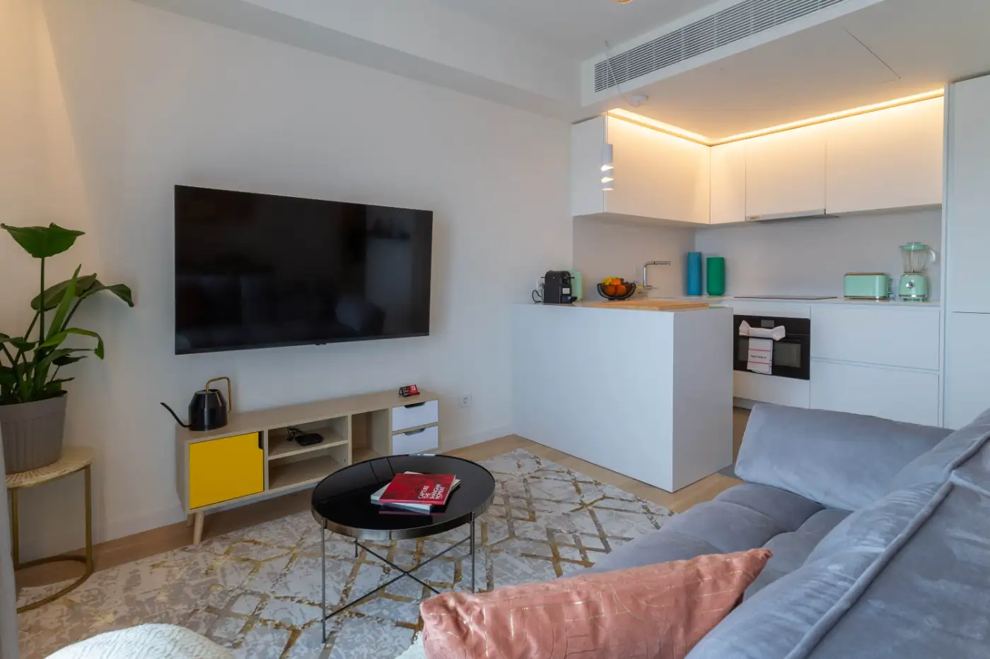 Open plan living room and kitchen